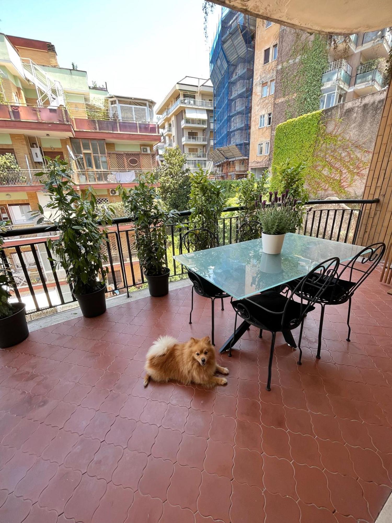 Apartment Gieffeapart • Elegante A Rome
